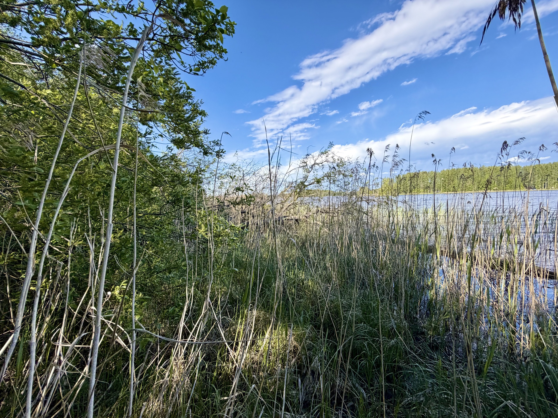 Pälkäneentie 2360, Alvettula, Hämeenlinna