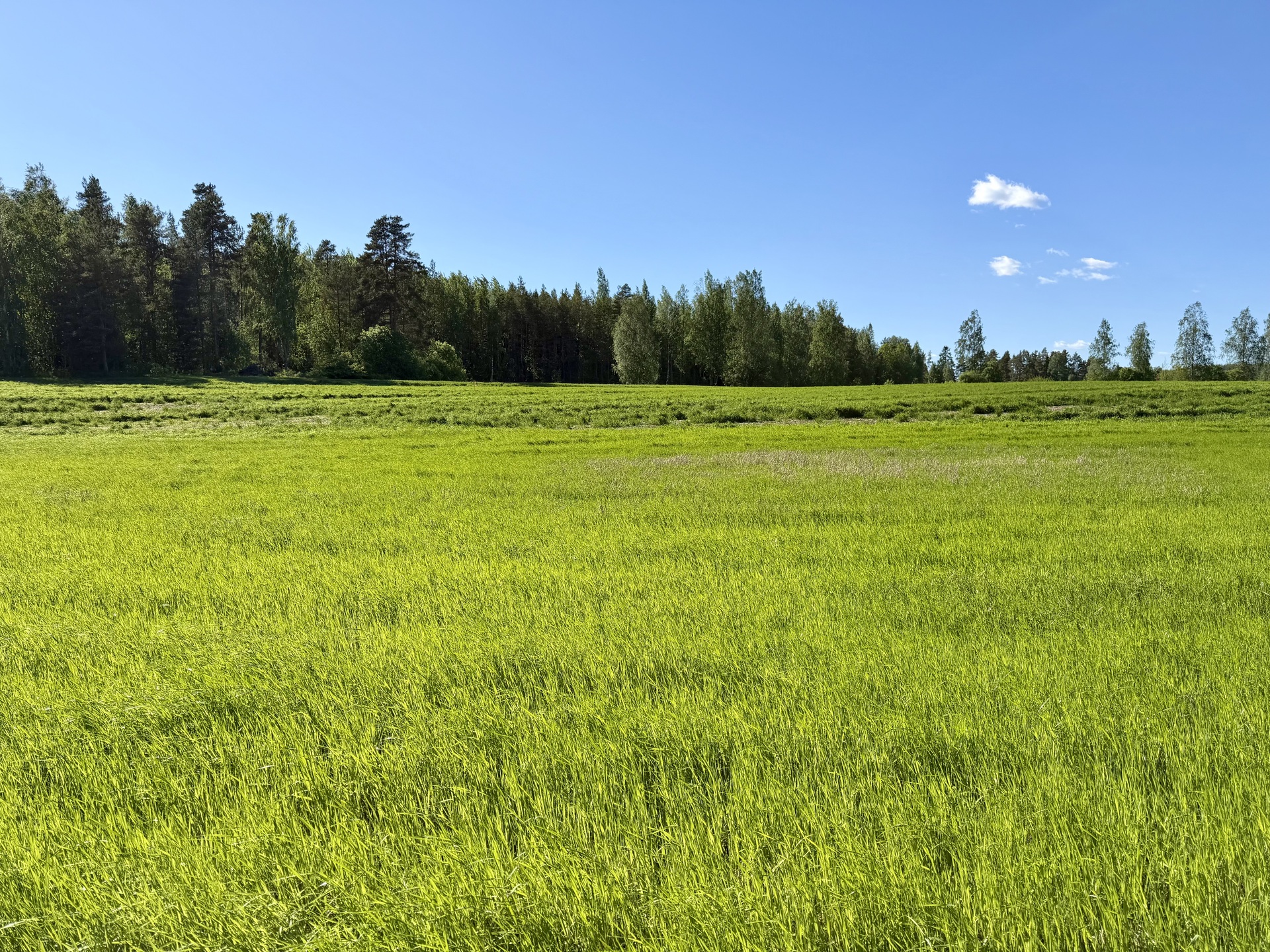 Pälkäneentie 2360, Alvettula, Hämeenlinna