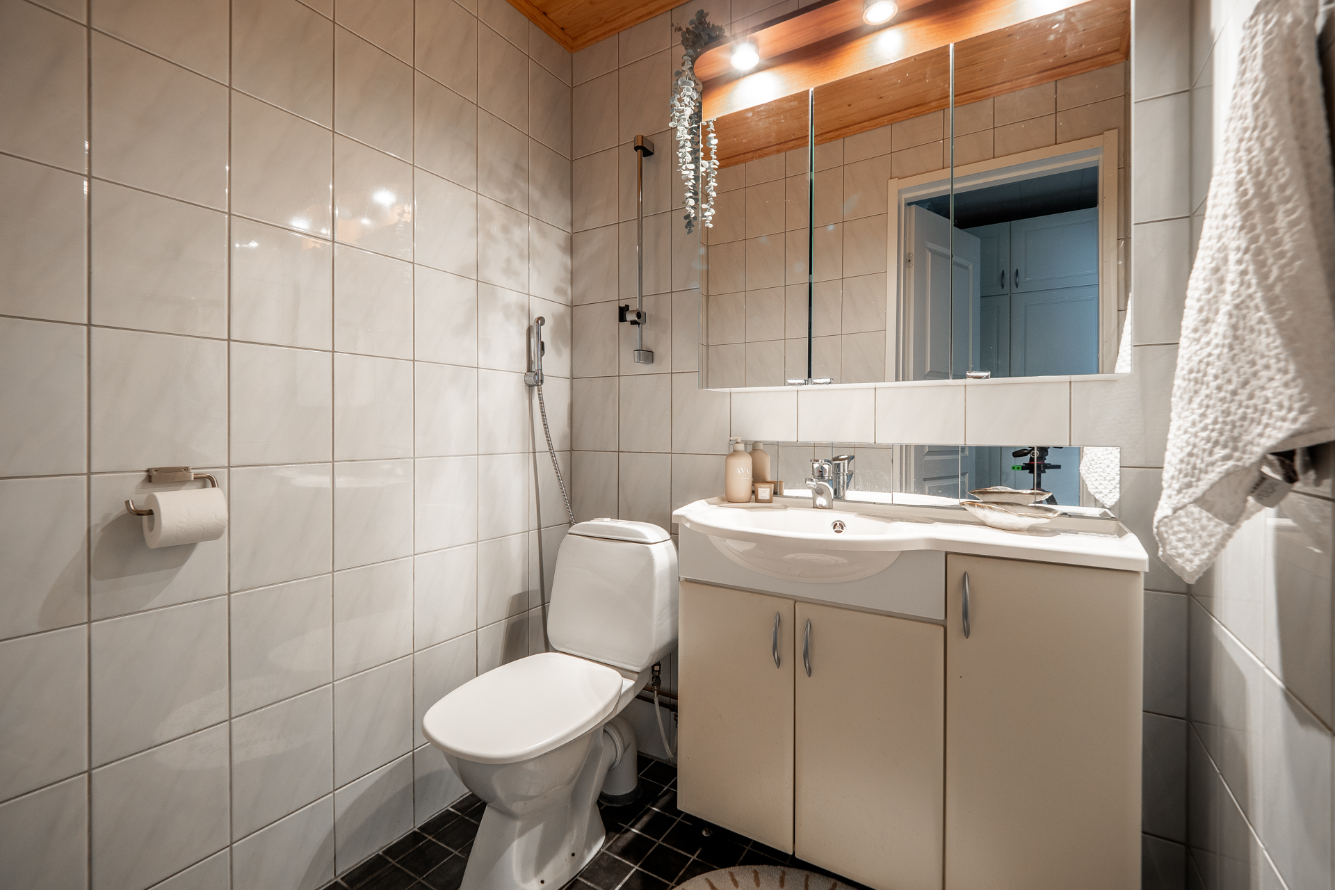 Erillinen wc