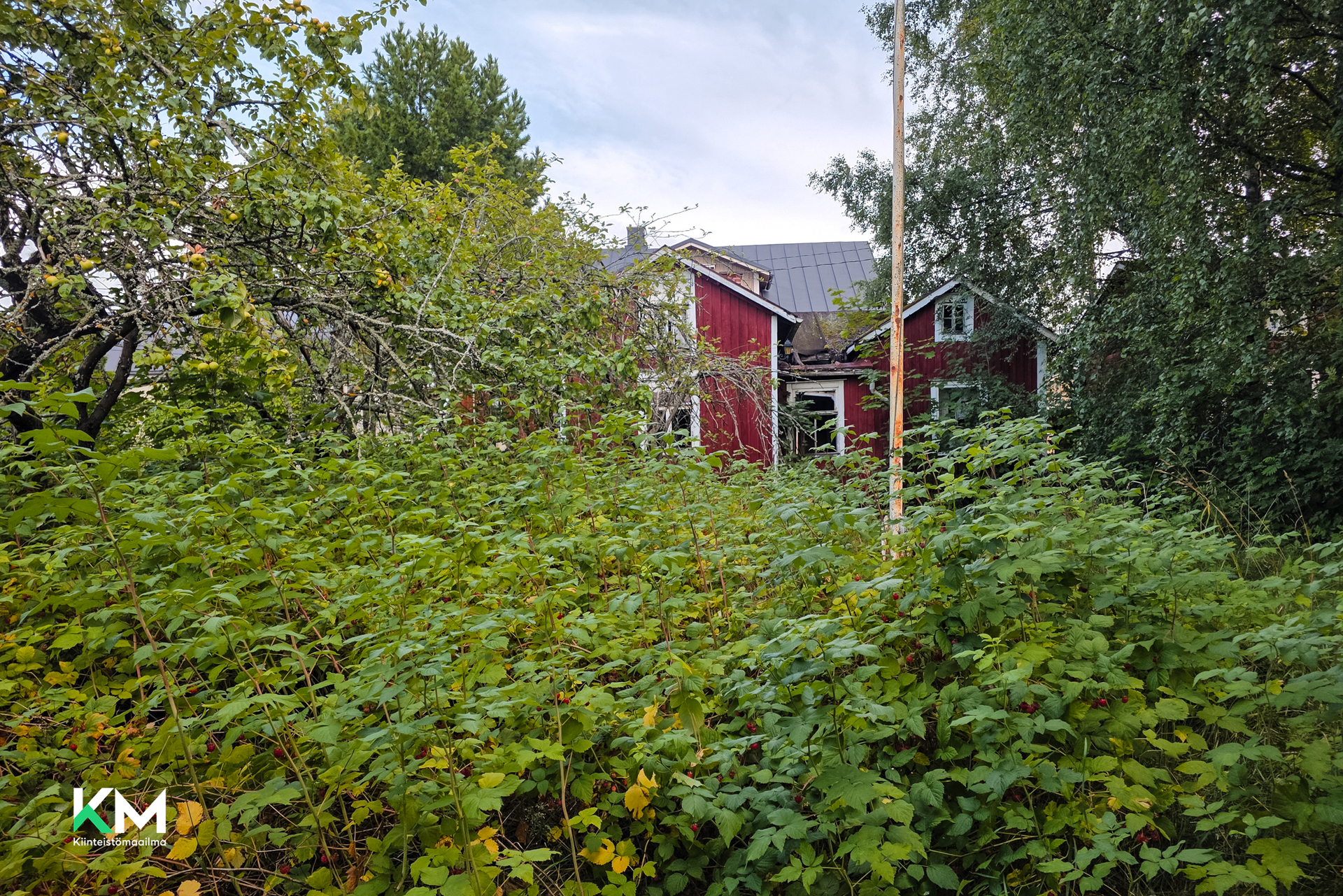 Hämeenkatu 16 A, Skata, Pietarsaari