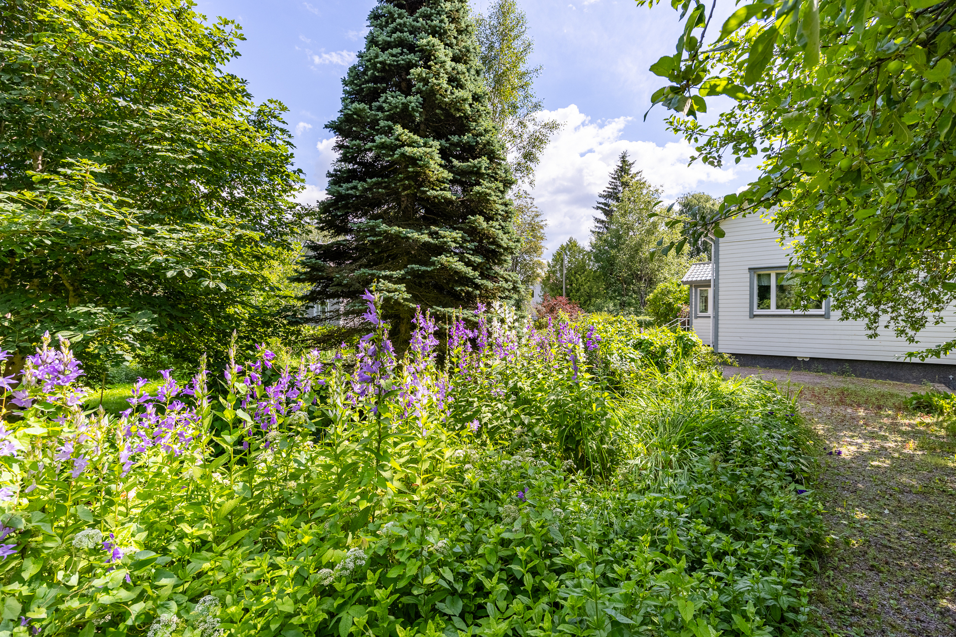 Notkotie 25, Hämeenlinna