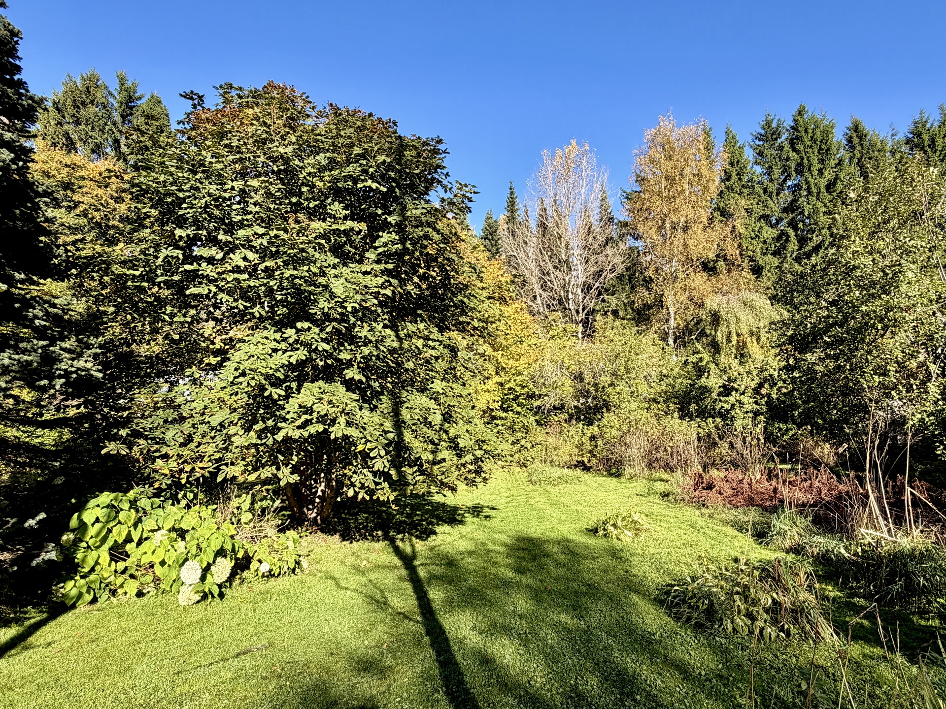 Notkotie 25, Hämeenlinna