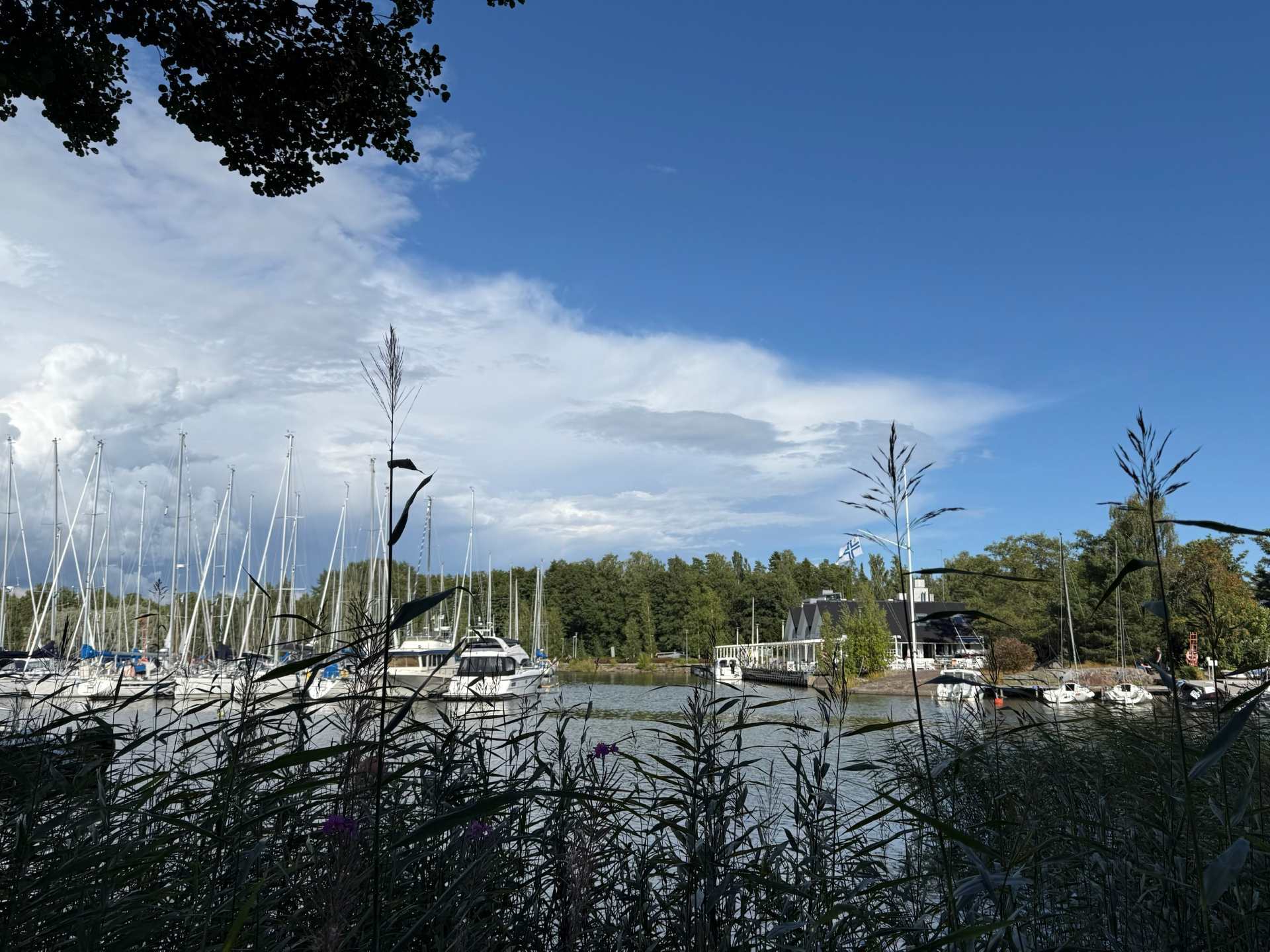 näkymää Haukilahden satamaan