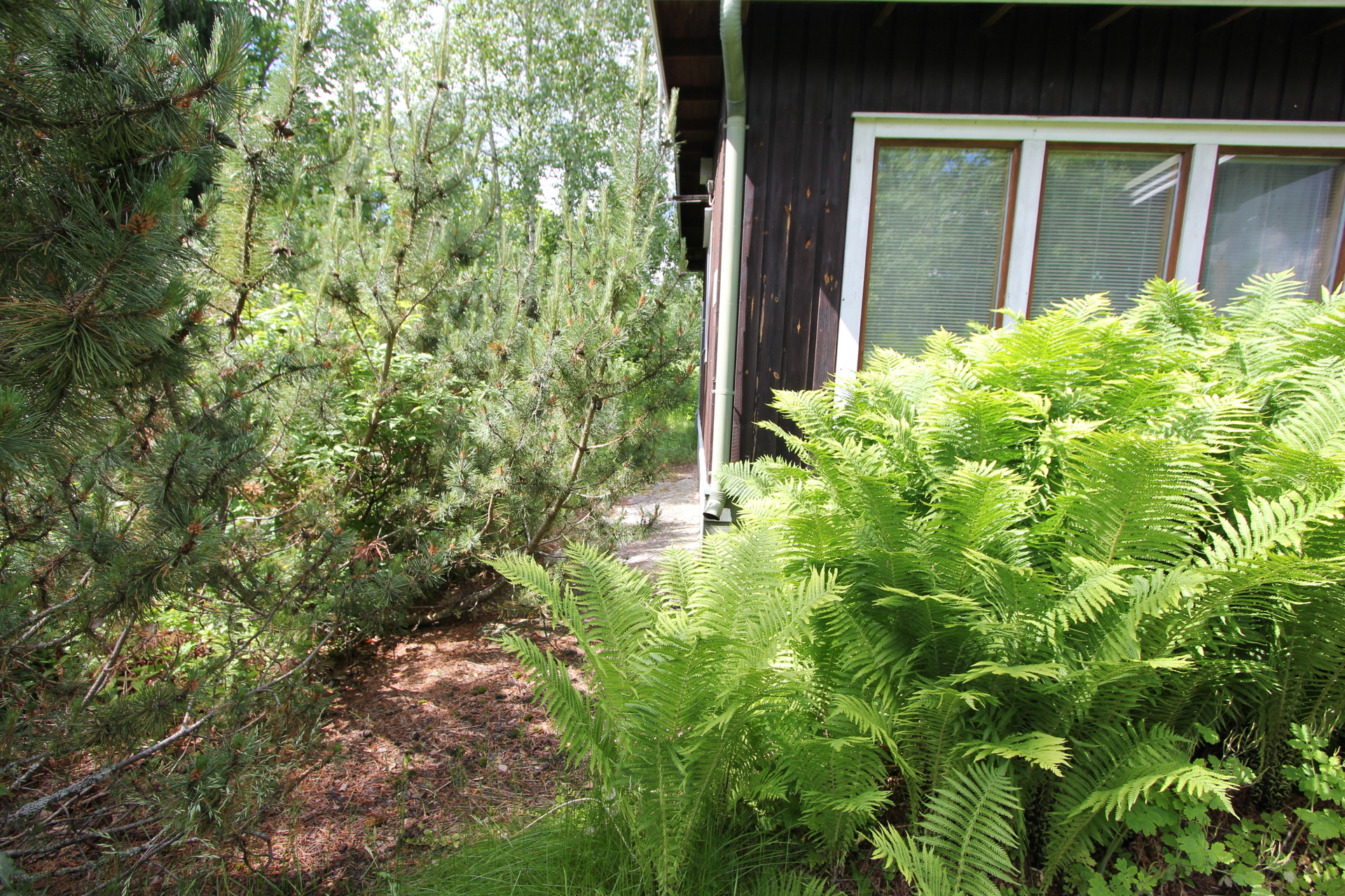 Sandrantie 7, Saksala, Porvoo