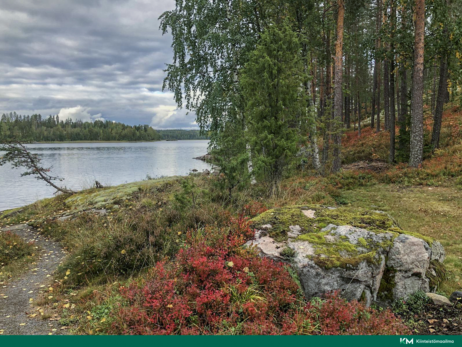 Saarijärventie 335, Puumala