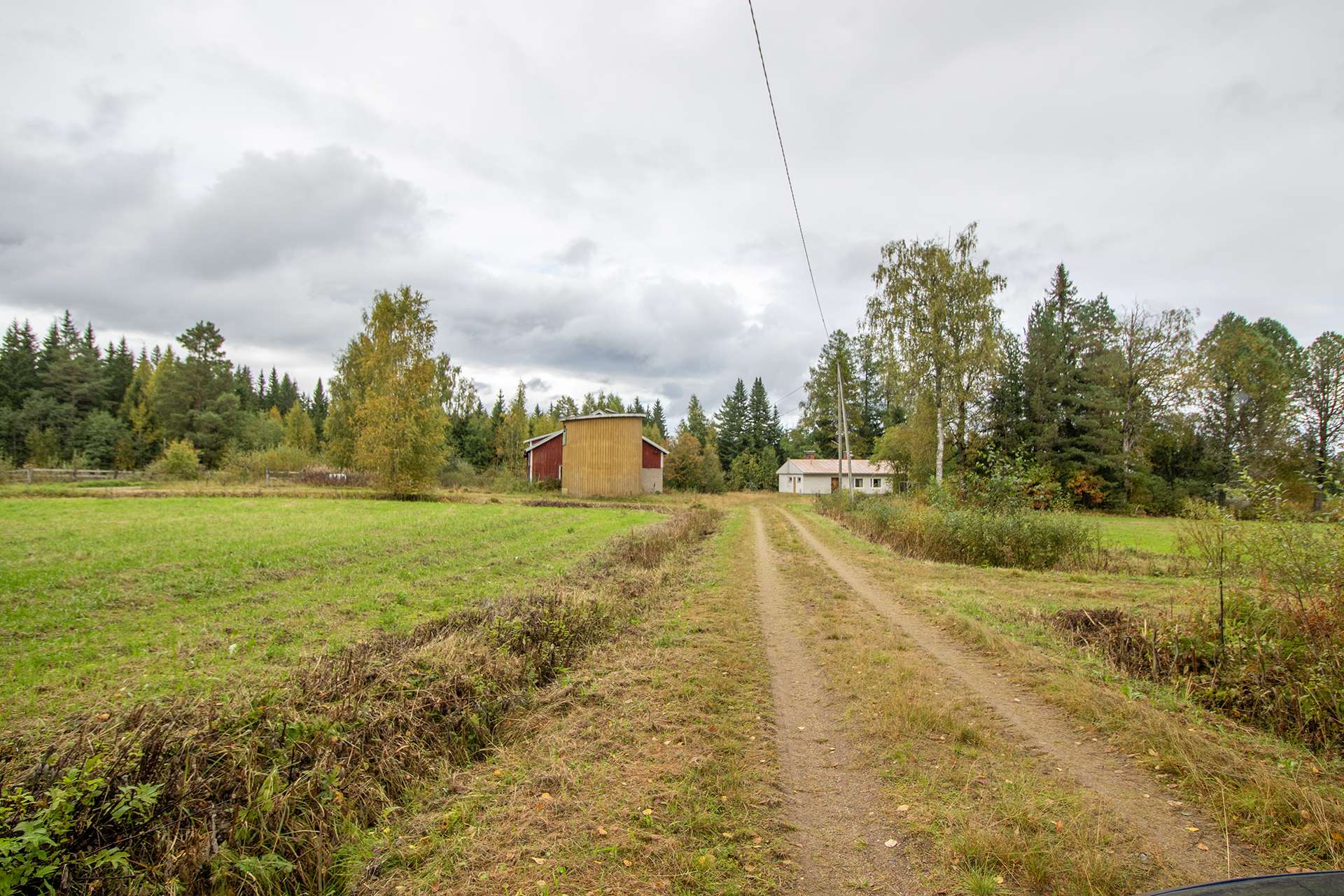 Kurenpoluntie 29, Räsälä, Kuopio