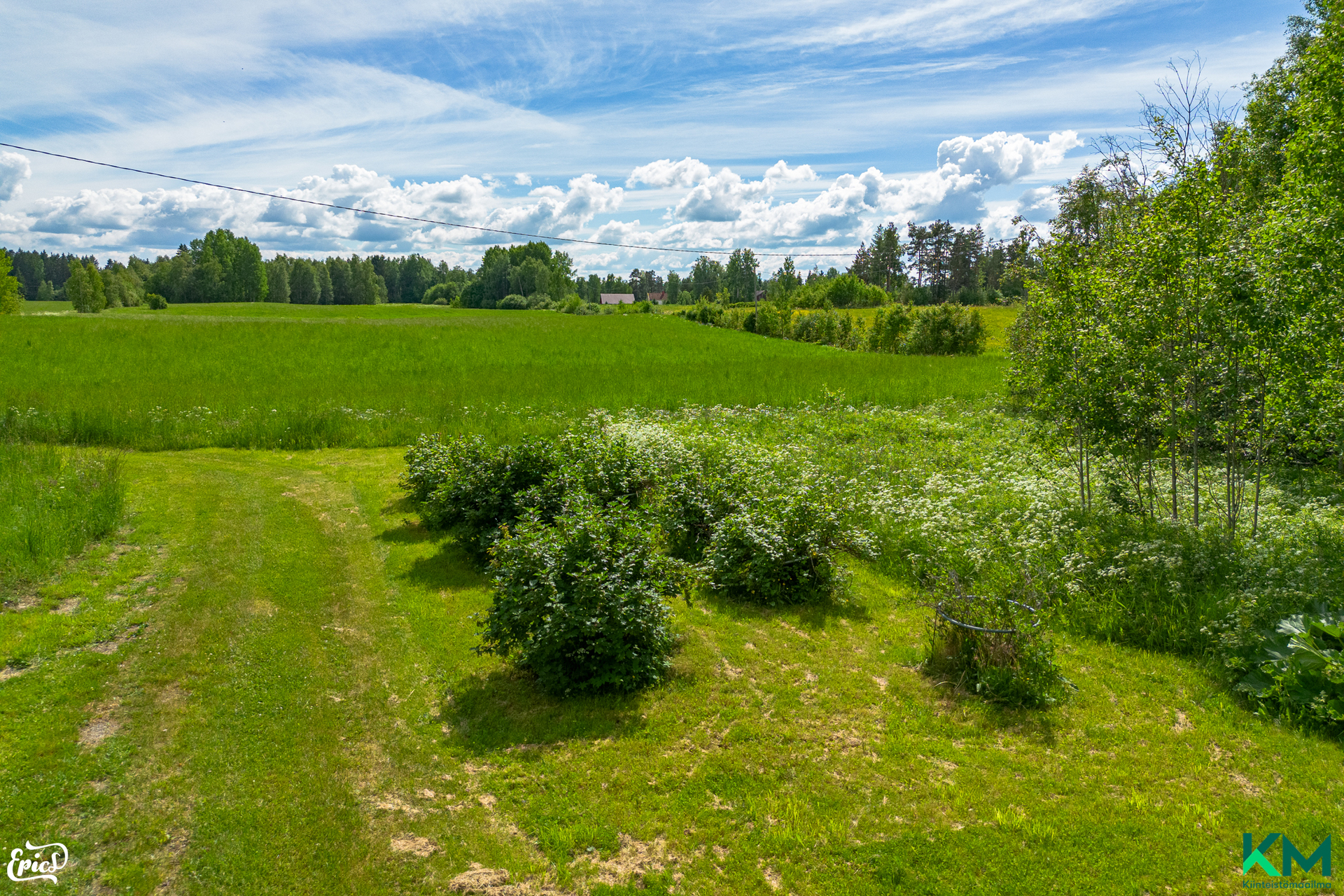 Yläpihaa