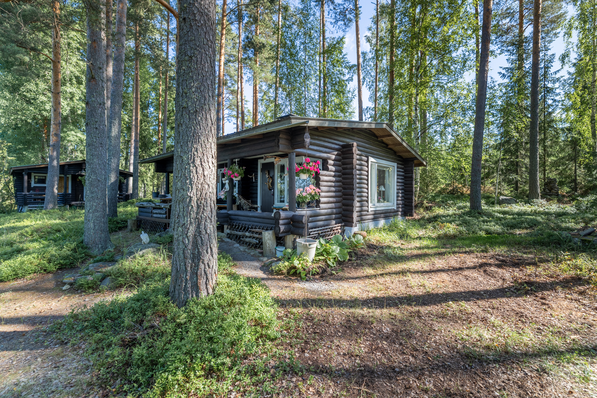 Saapuminen pihaan