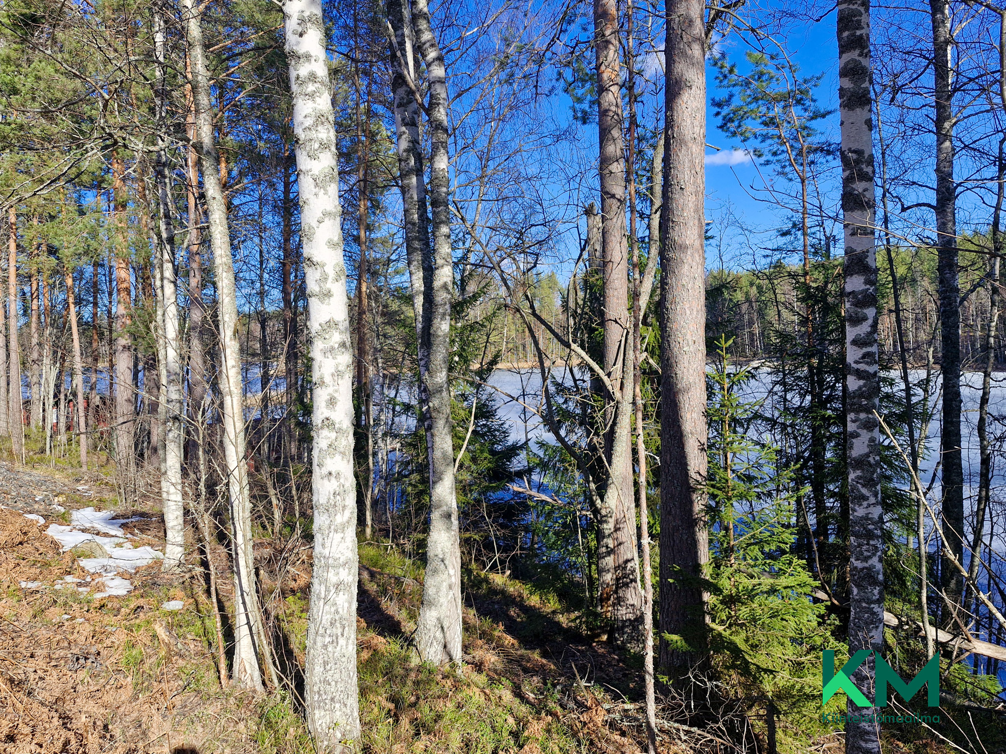 Voinsalmentie 949, Rantasalmi