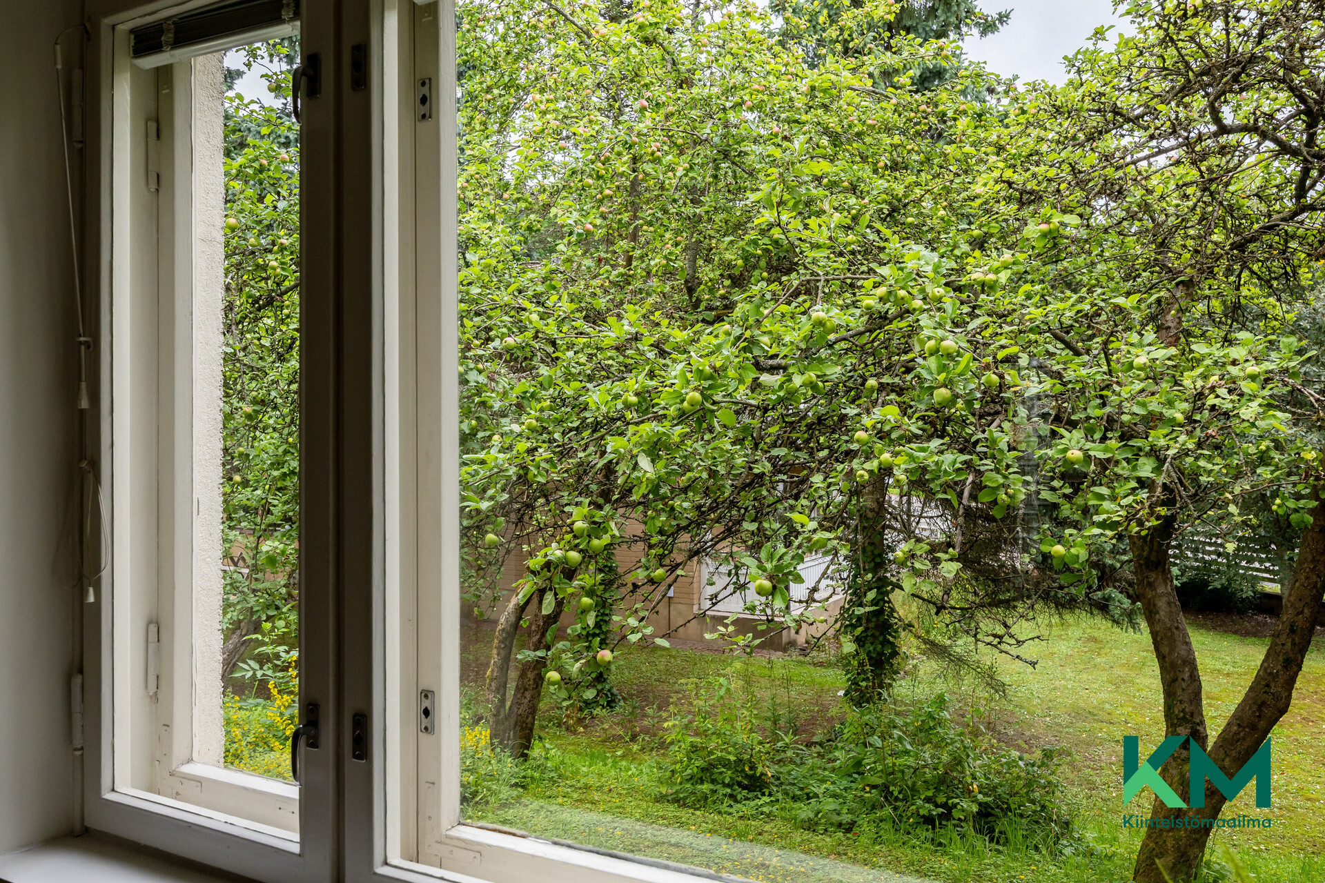 Vehreät näkymät ikkunoista pihamaalle