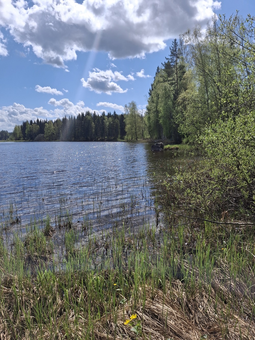 Purhontie 233, Kuopio