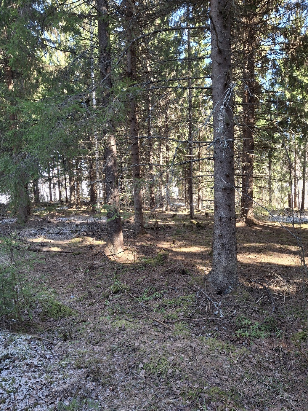 Purhontie 233, Kuopio