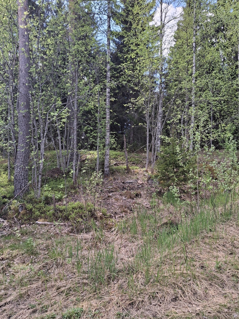 Purhontie 233, Kuopio