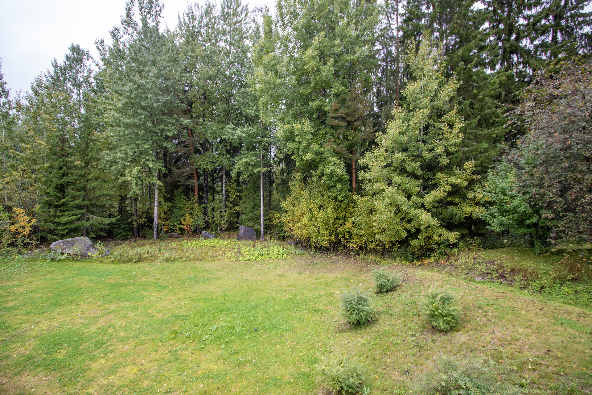 Savolanniityntie 2, Savolanniemi, Kuopio