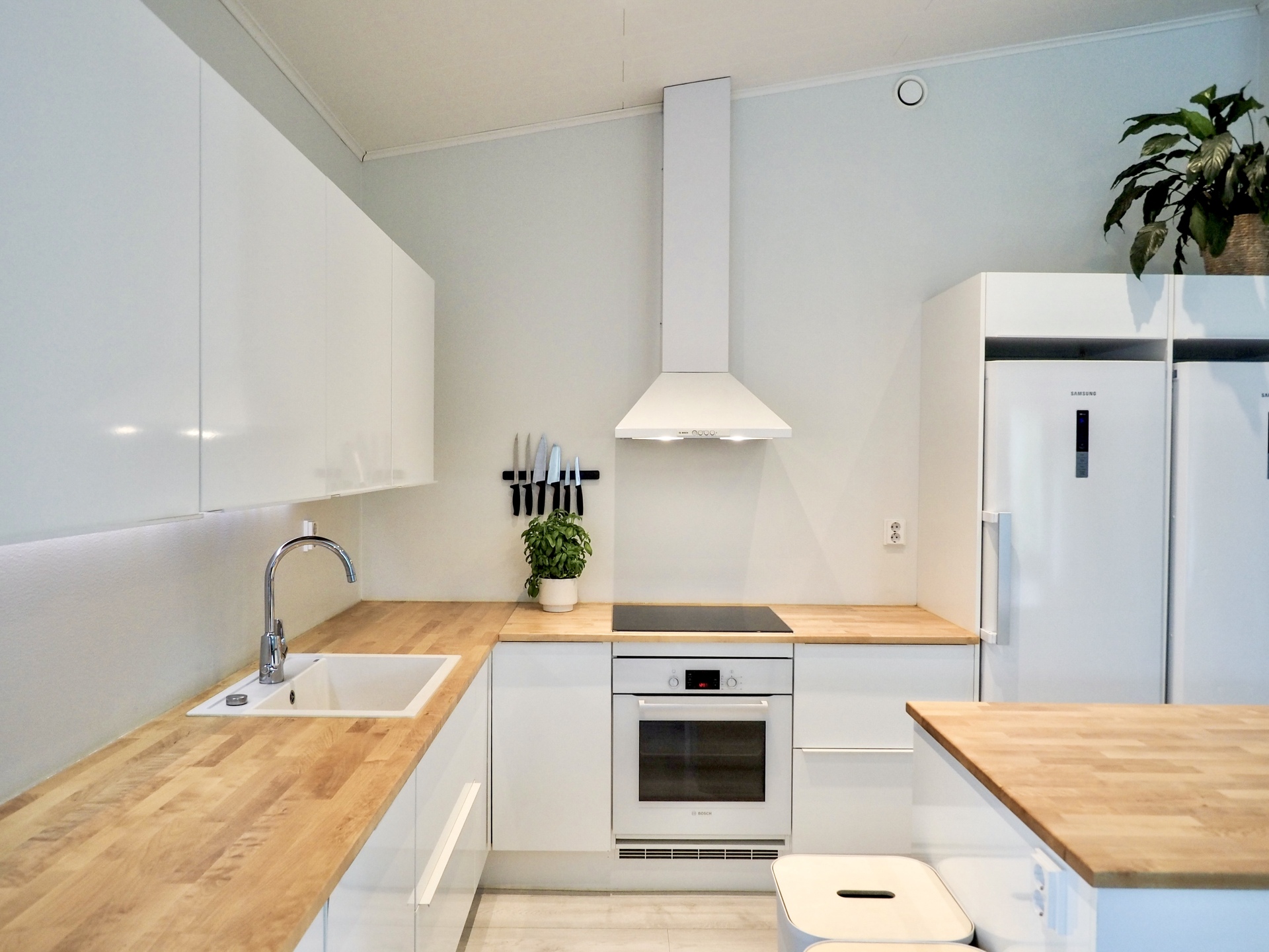 Eväsojanlenkki 8, Tervakoski, Janakkala