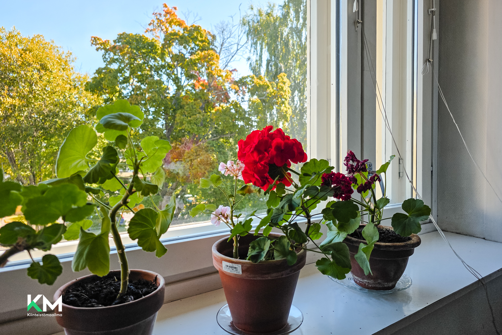 Pedersesplanaden 11 , Pietarsaari