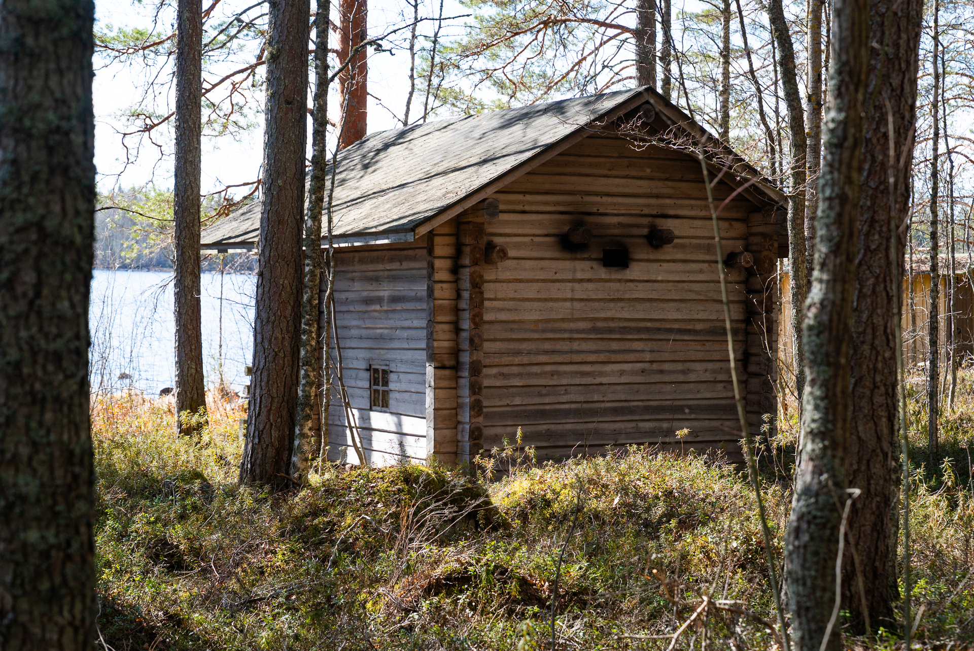 Kuivaniementie 520, Viitasaari