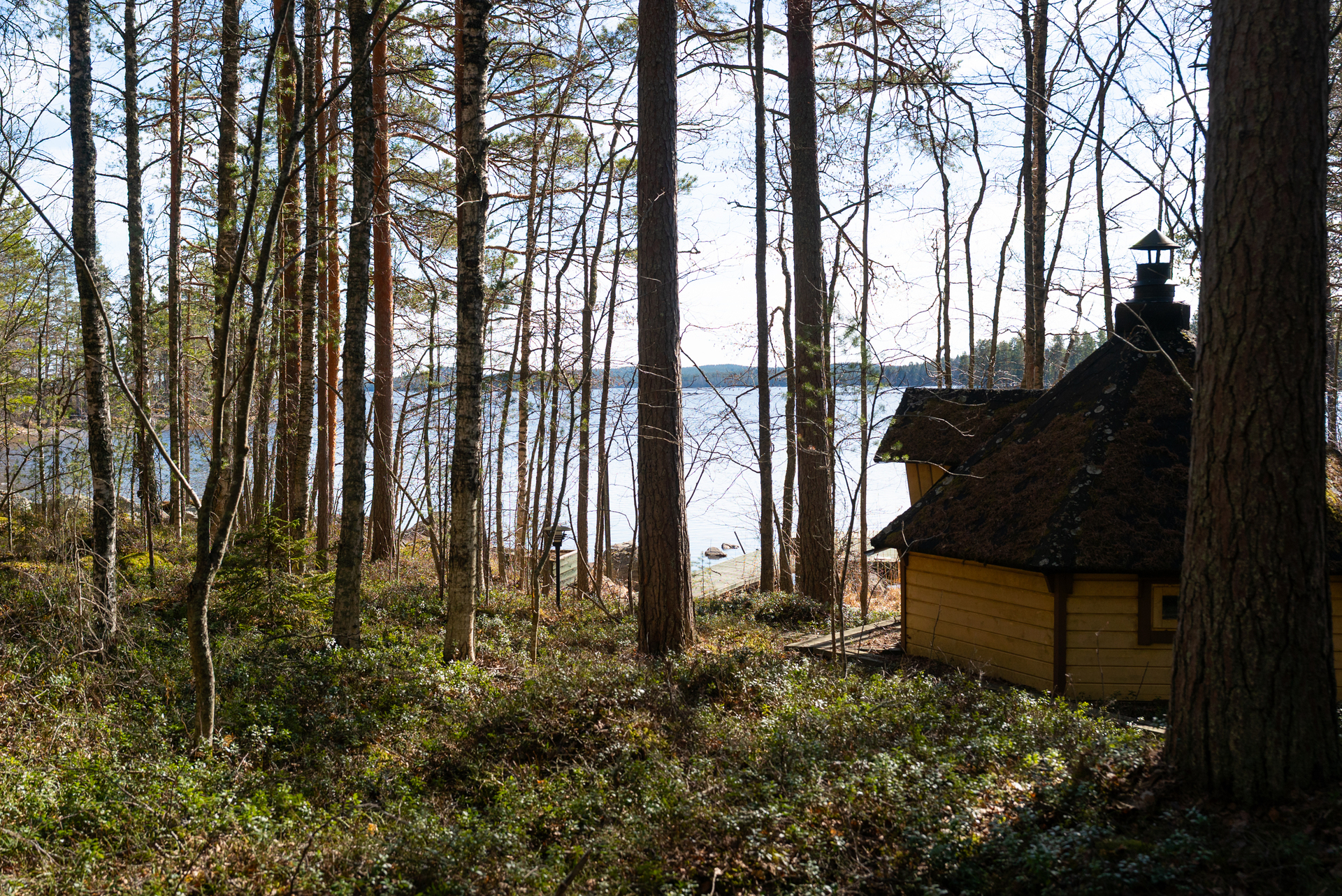 Kuivaniementie 520, Viitasaari