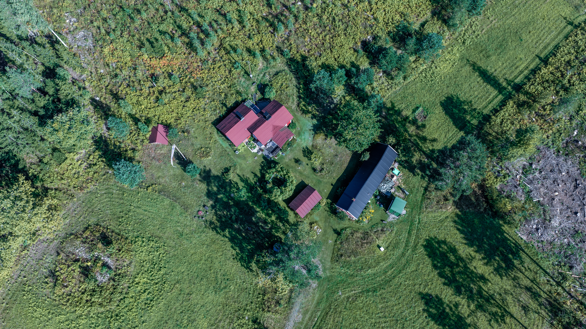Terriläntie 94, Koirakivi, Mäntyharju