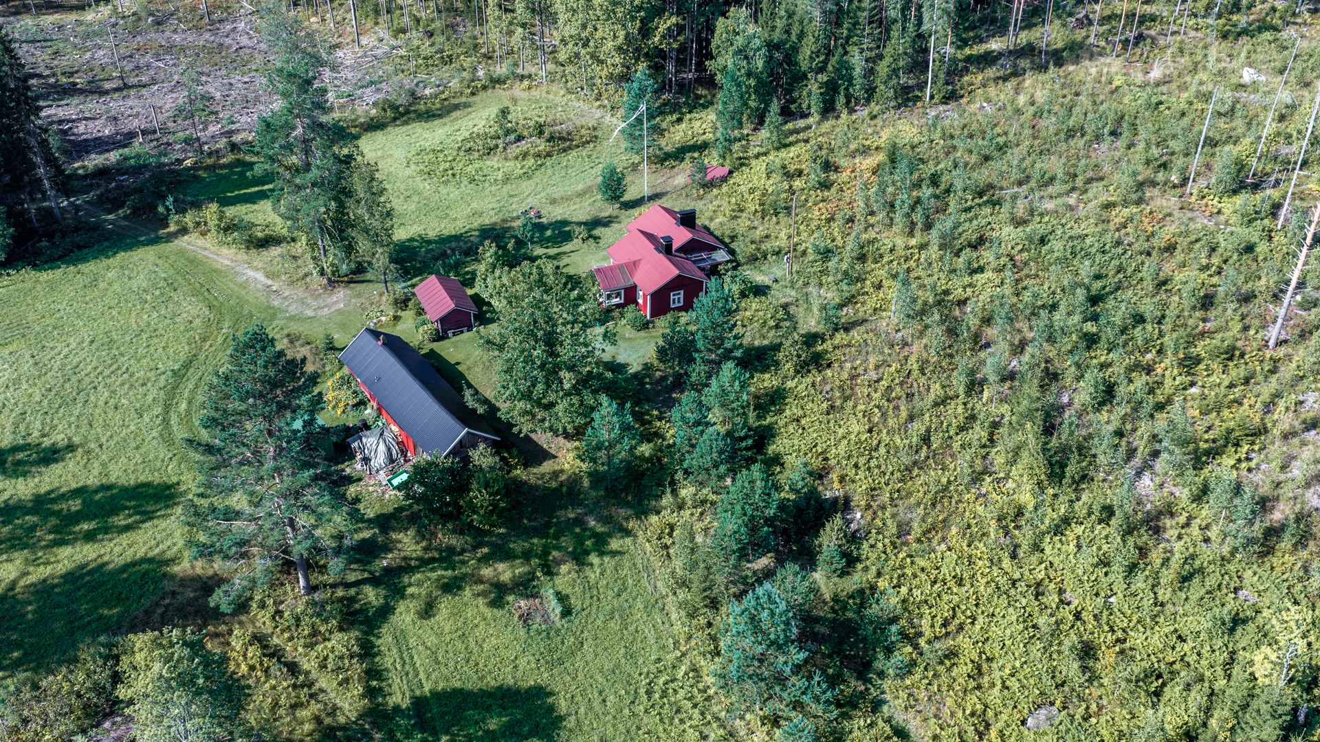 Terriläntie 94, Koirakivi, Mäntyharju