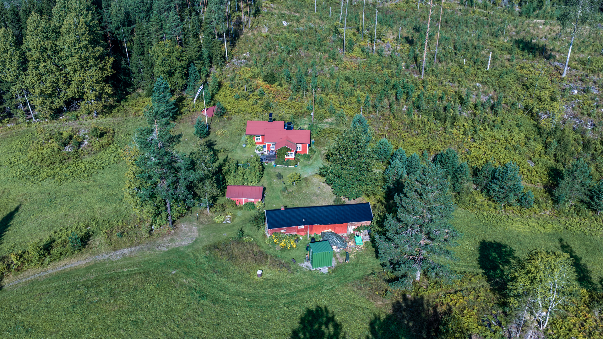 Terriläntie 94, Koirakivi, Mäntyharju