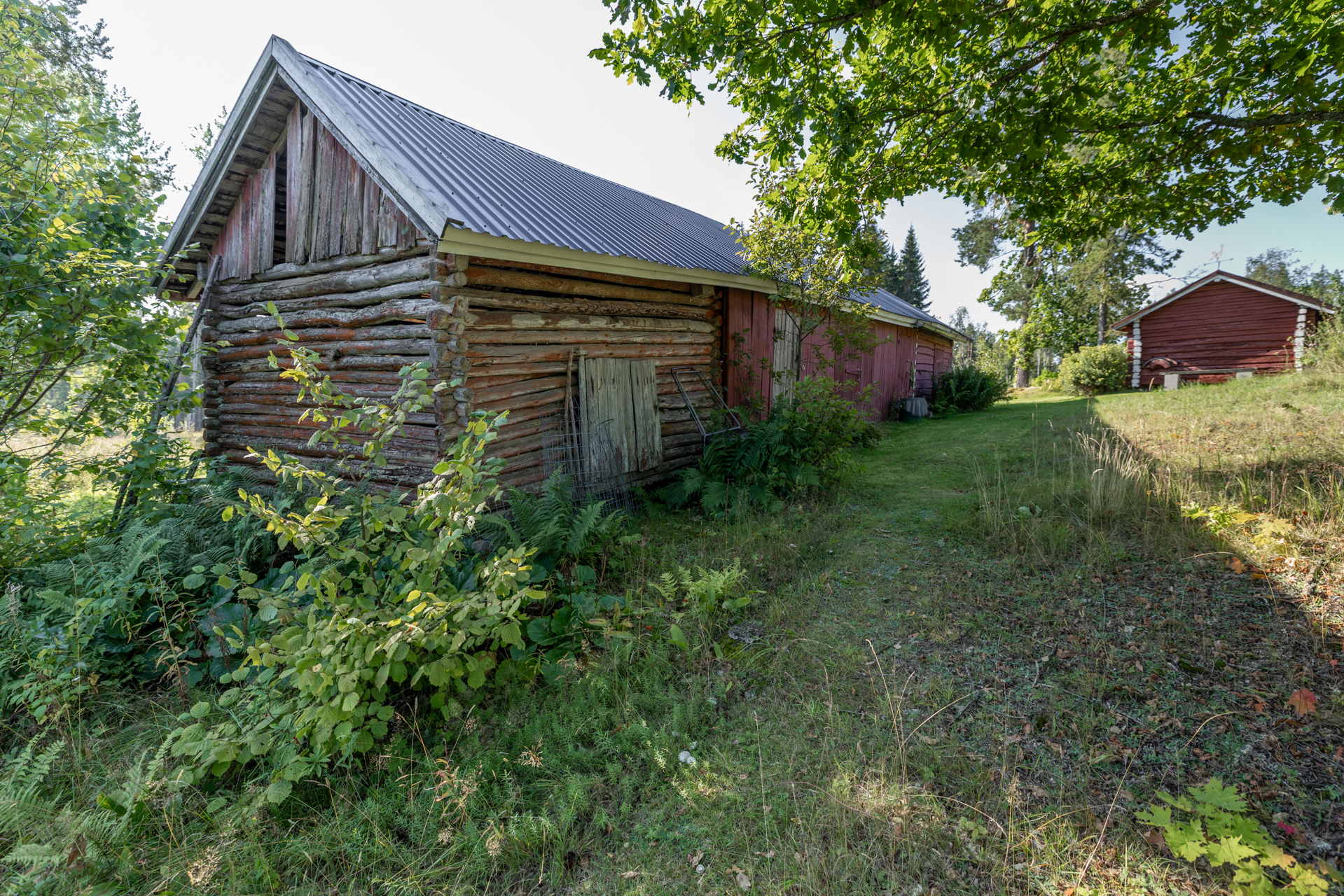 Terriläntie 94, Koirakivi, Mäntyharju