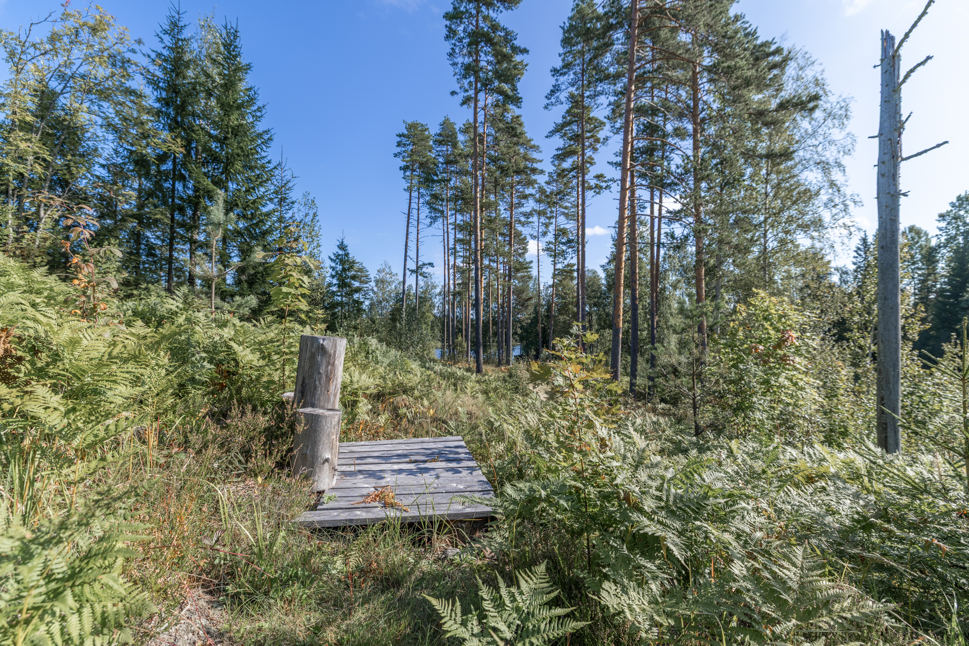 Terriläntie 94, Koirakivi, Mäntyharju