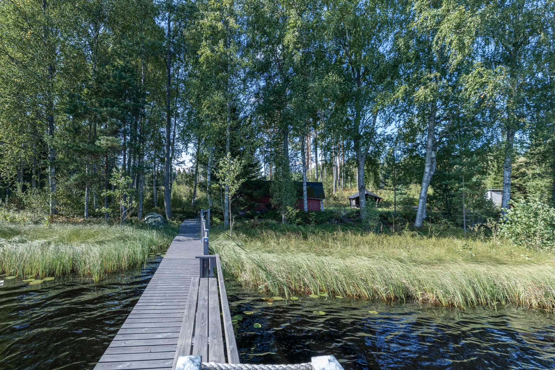 Terriläntie 94, Koirakivi, Mäntyharju