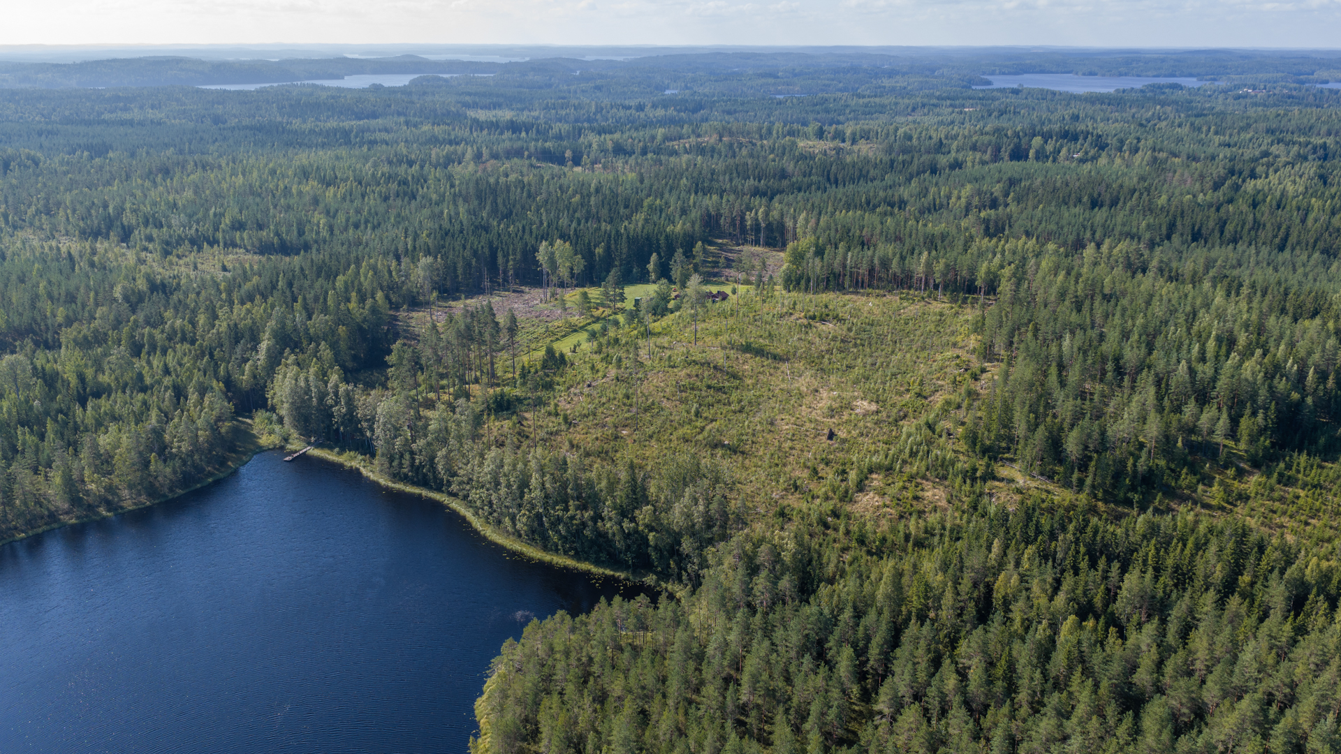 Terriläntie 94, Koirakivi, Mäntyharju