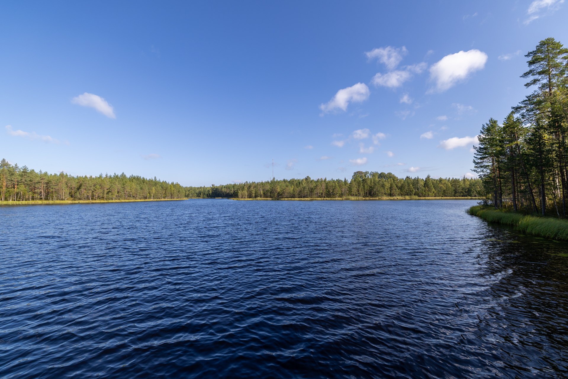 Terriläntie 94, Koirakivi, Mäntyharju