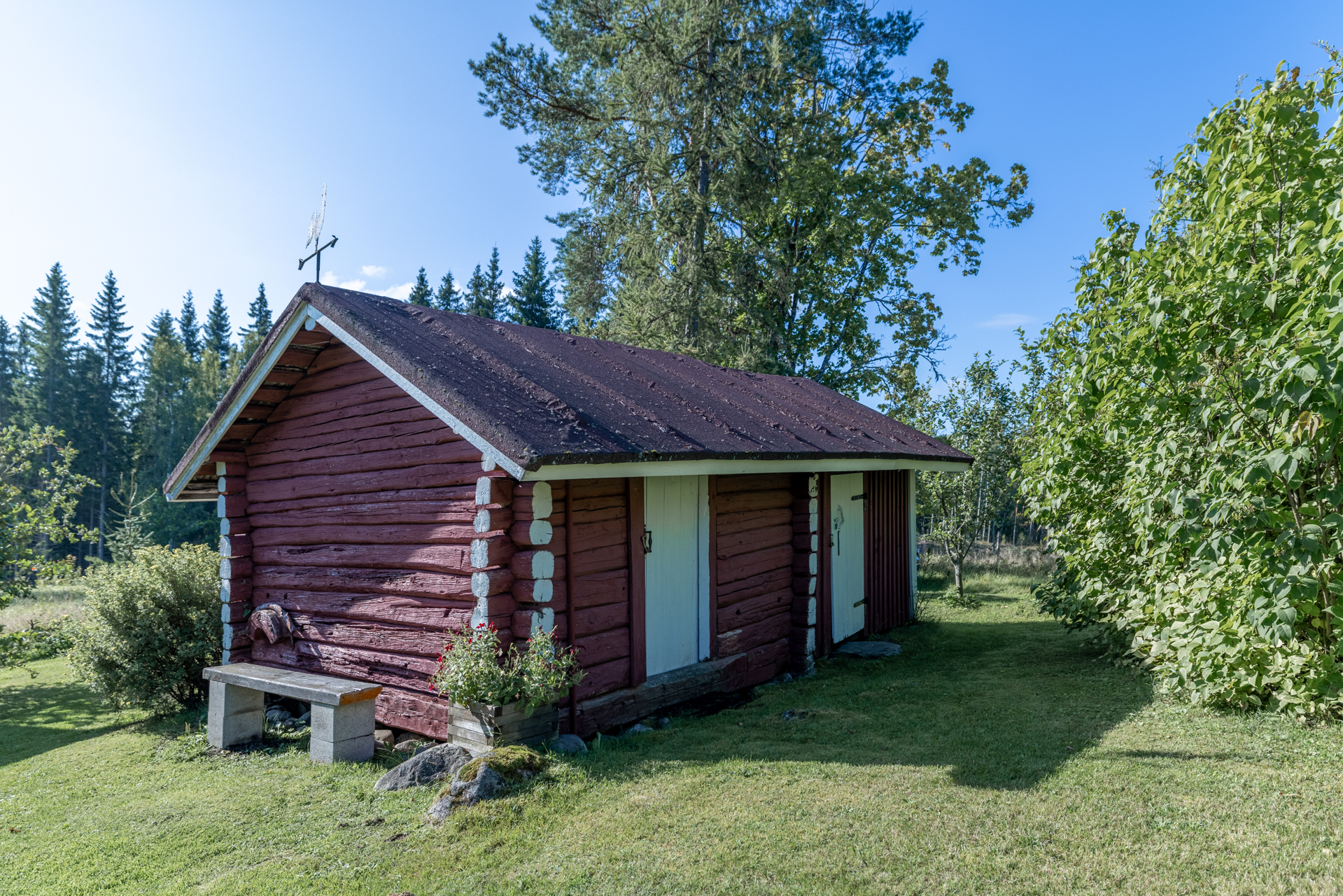 Terriläntie 94, Koirakivi, Mäntyharju