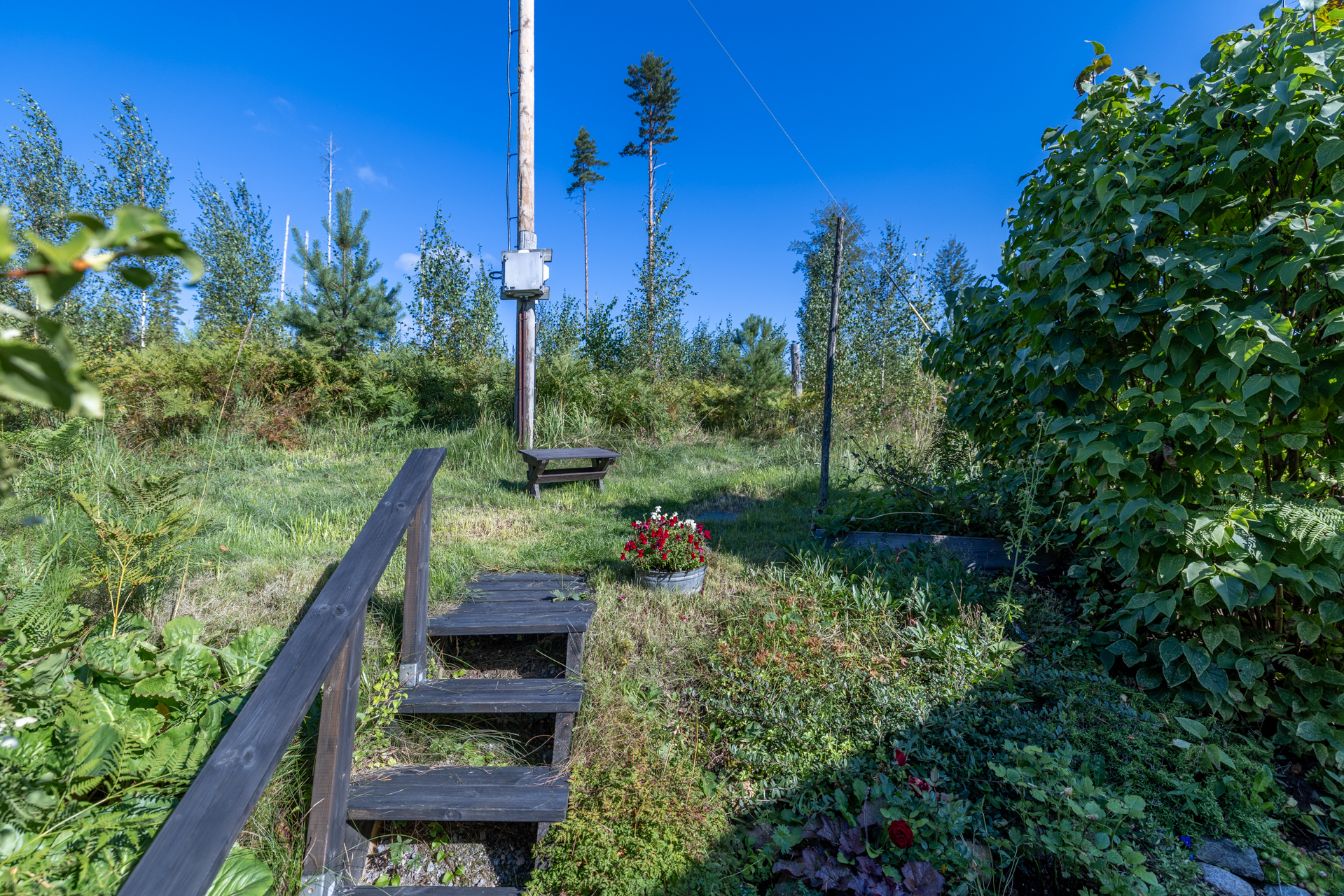 Terriläntie 94, Koirakivi, Mäntyharju