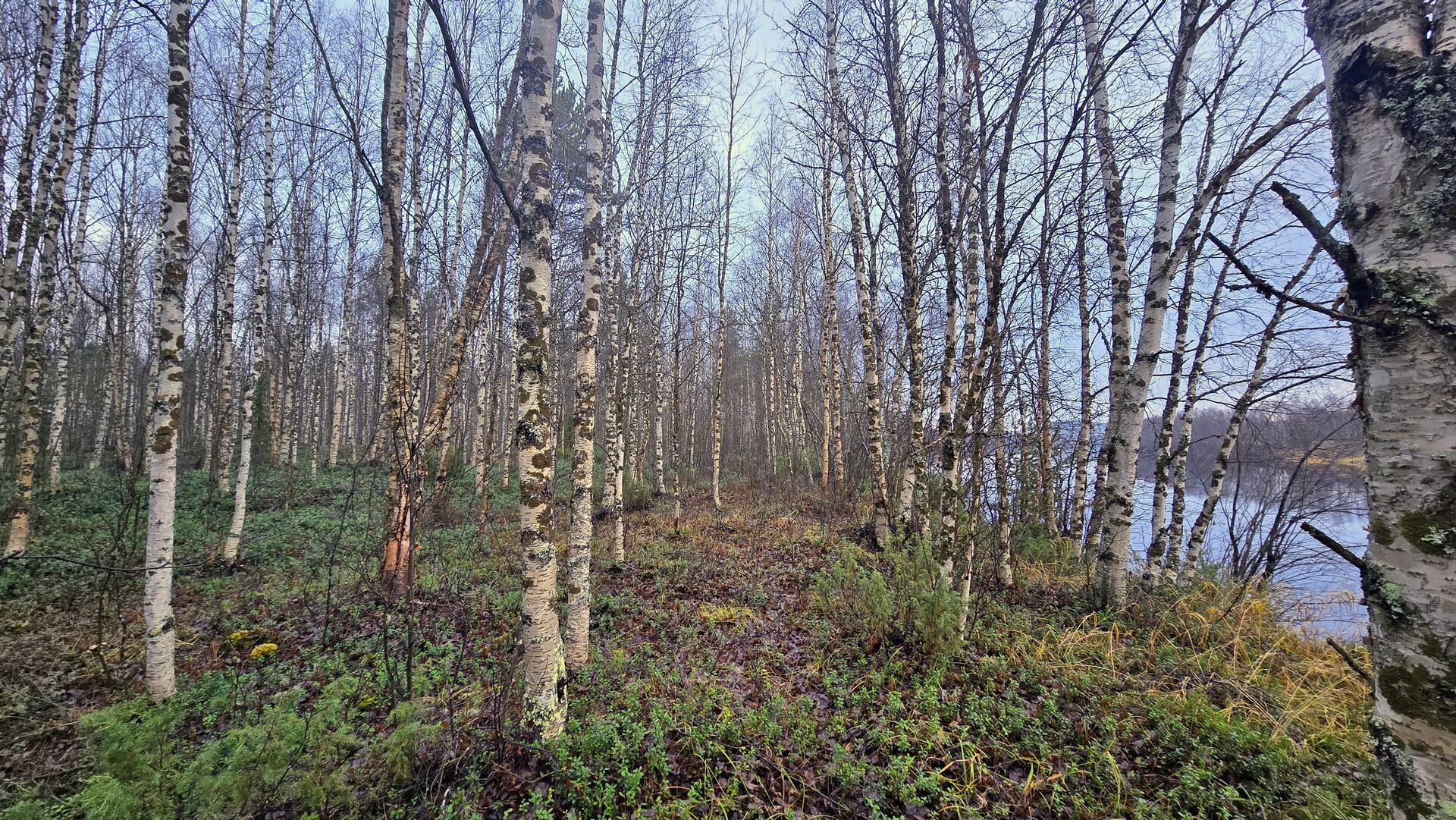 Ivalojoen rantapenkka.
