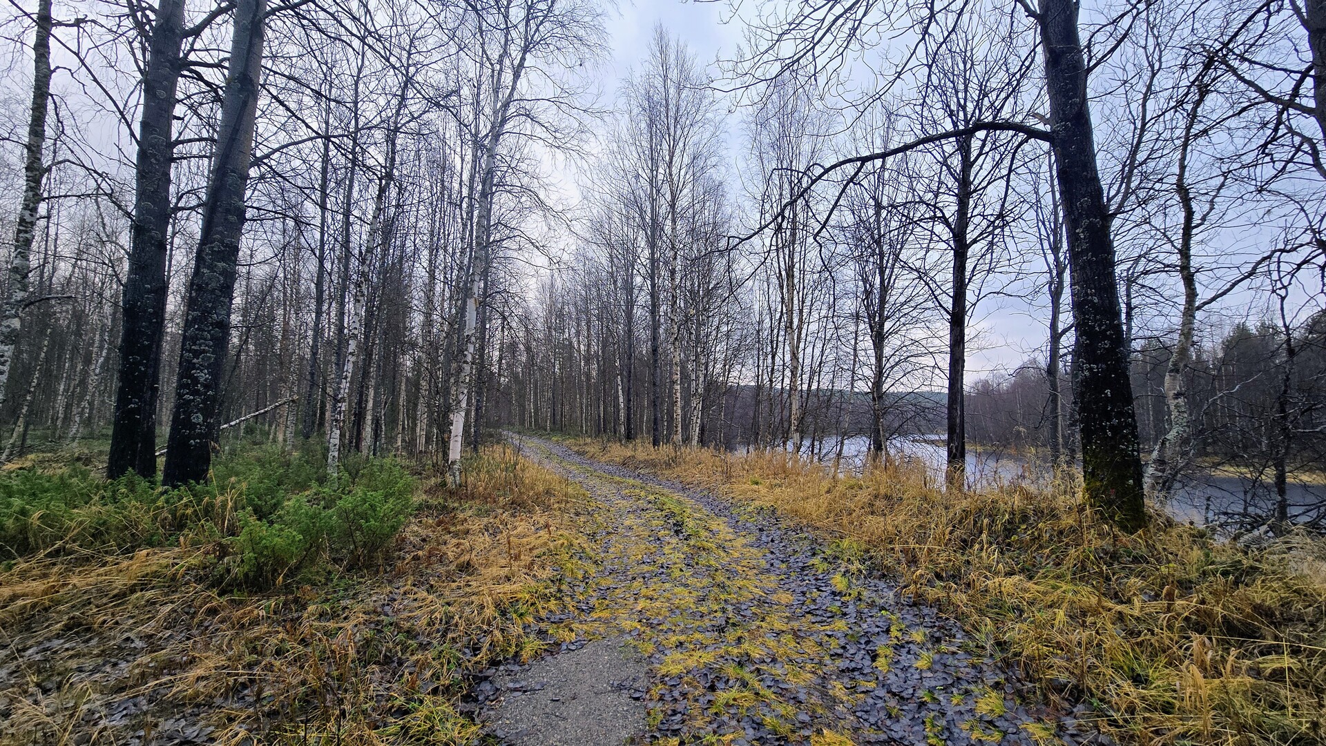 Tie kulkee Taivalvuopajan reunalla.