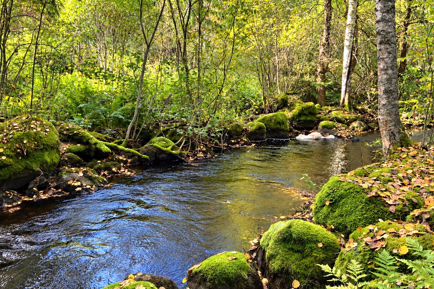 Leppäkorventie 183, Väärinmaja, Väärinmaja