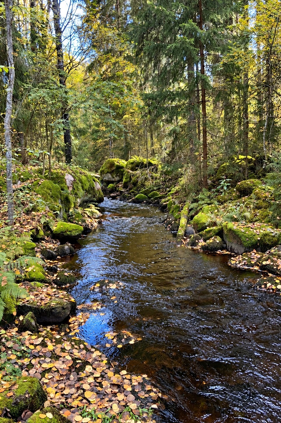 Leppäkorventie 183, Väärinmaja, Väärinmaja