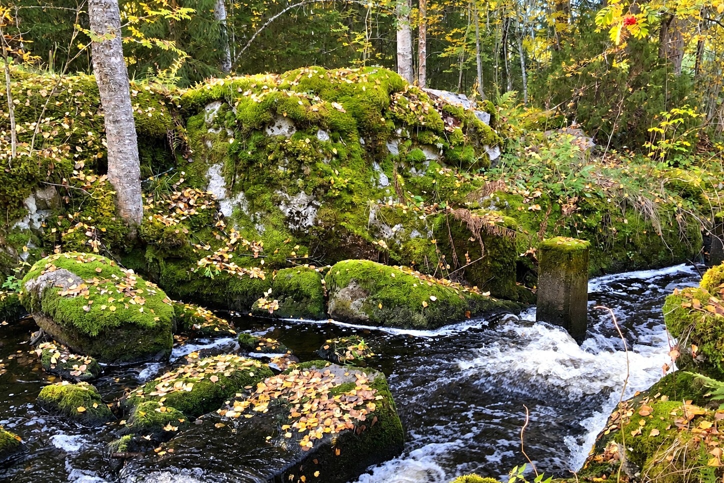 Leppäkorventie 183, Väärinmaja, Väärinmaja