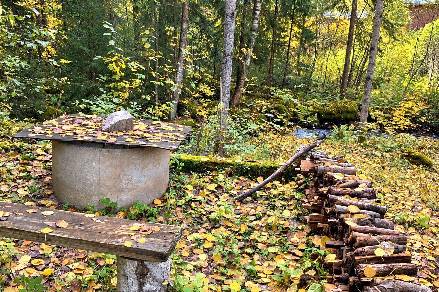 Leppäkorventie 183, Väärinmaja, Väärinmaja