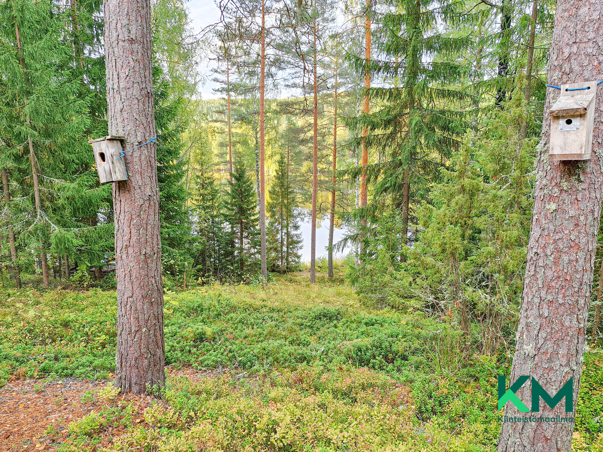 Pirttiniementie 27, Enonkoski