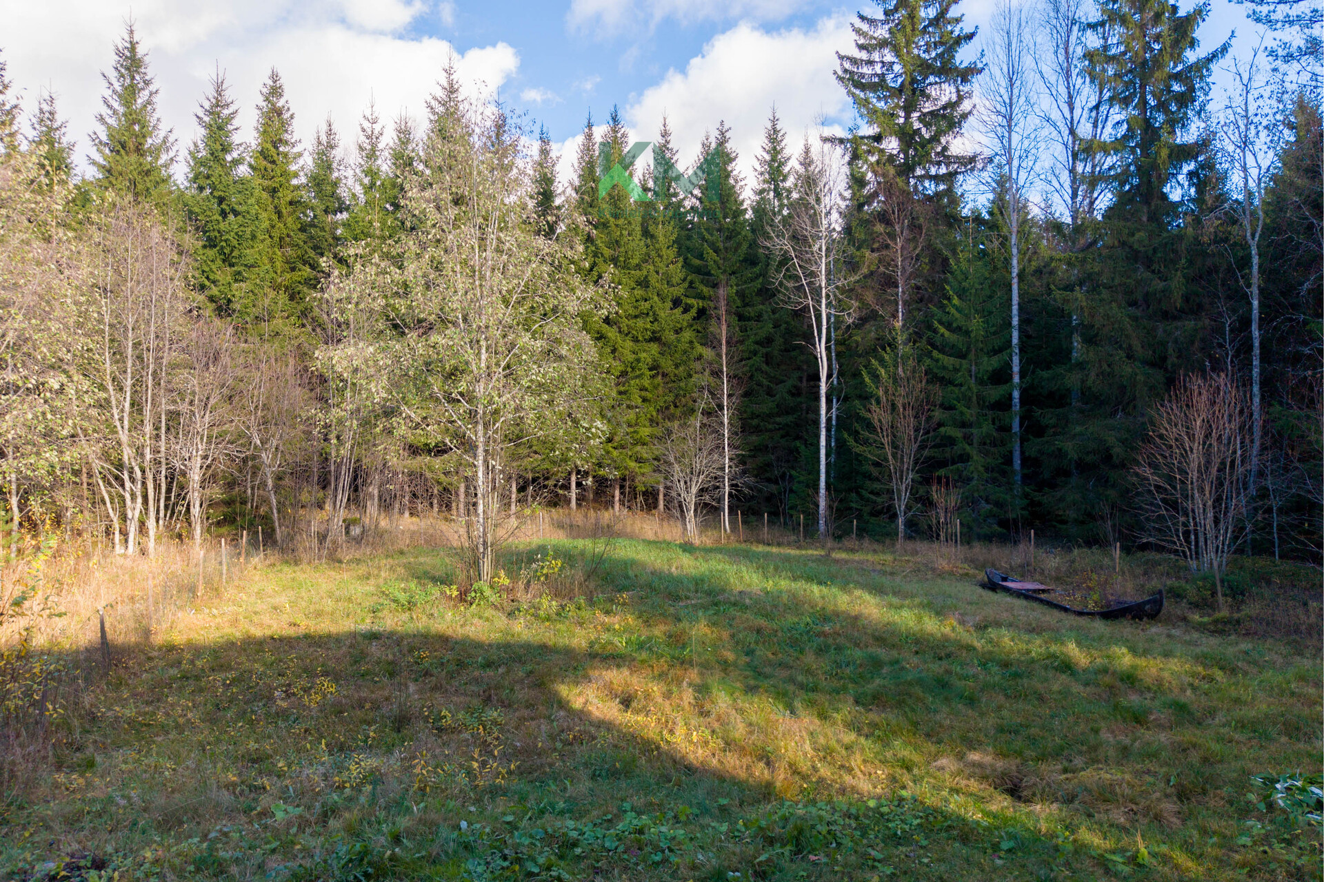 Tontti rajoittuu metsään