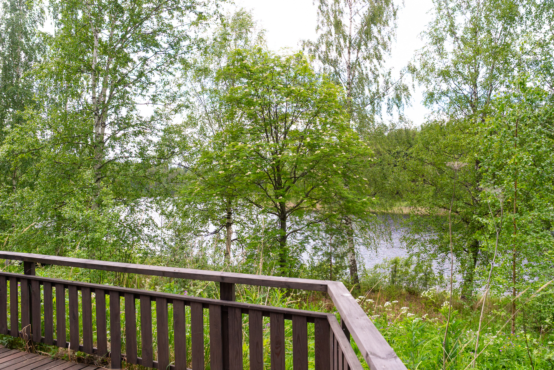 Haanmäentie 51 , Raidanlahti, Jyväskylä