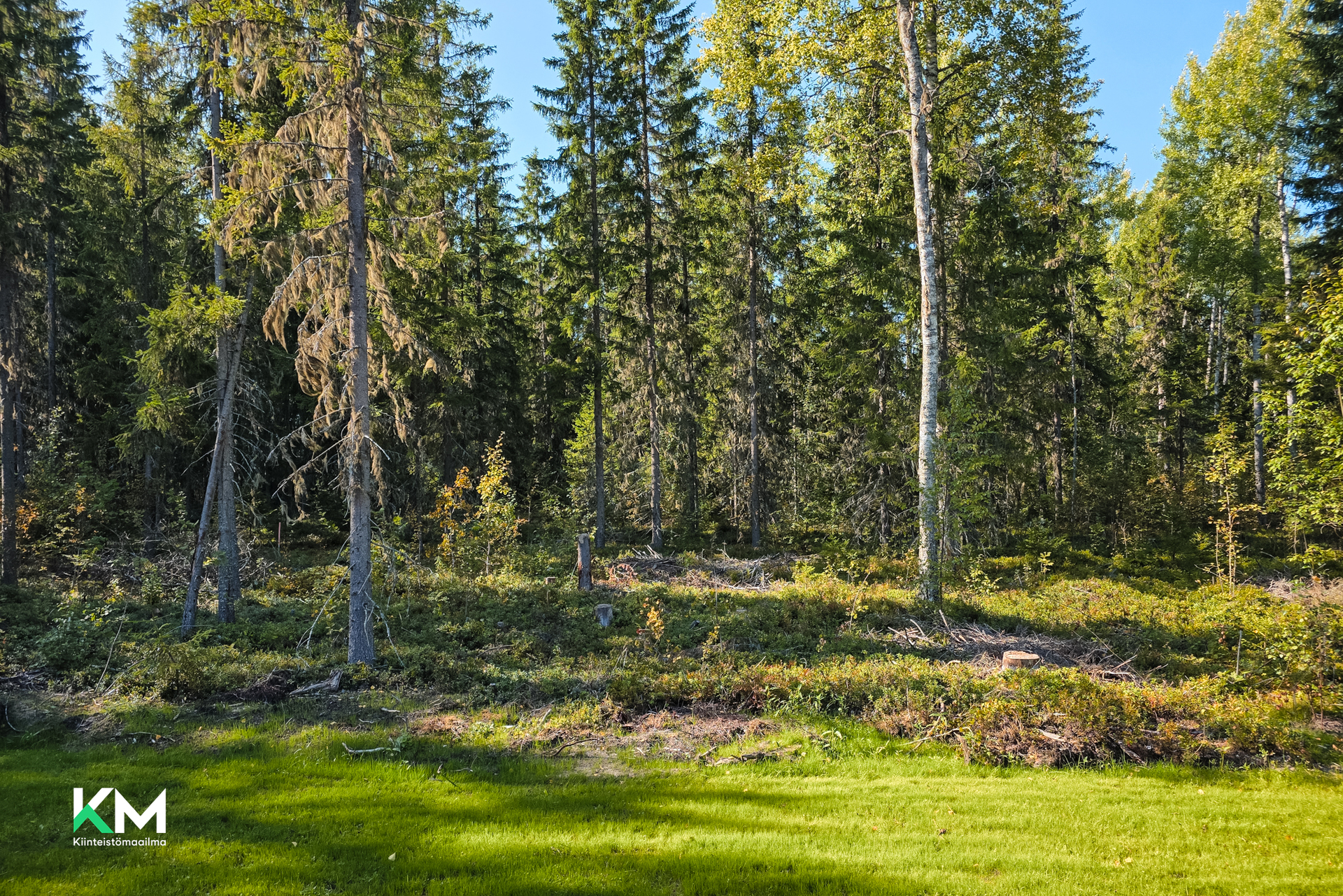 Vesslevägen 9, Fårholmen, Pietarsaari
