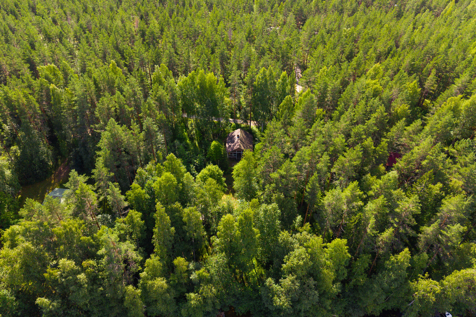 Enkelparventie 15, Sauvomäki, Hankasalmi