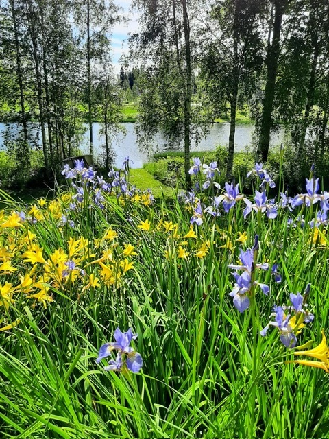 Murron kylätie 8, Mouhijärvi, Sastamala