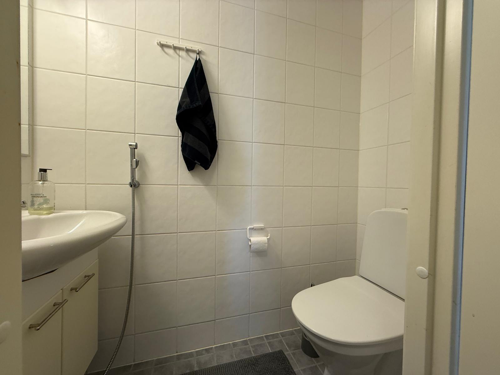 Erillinen wc