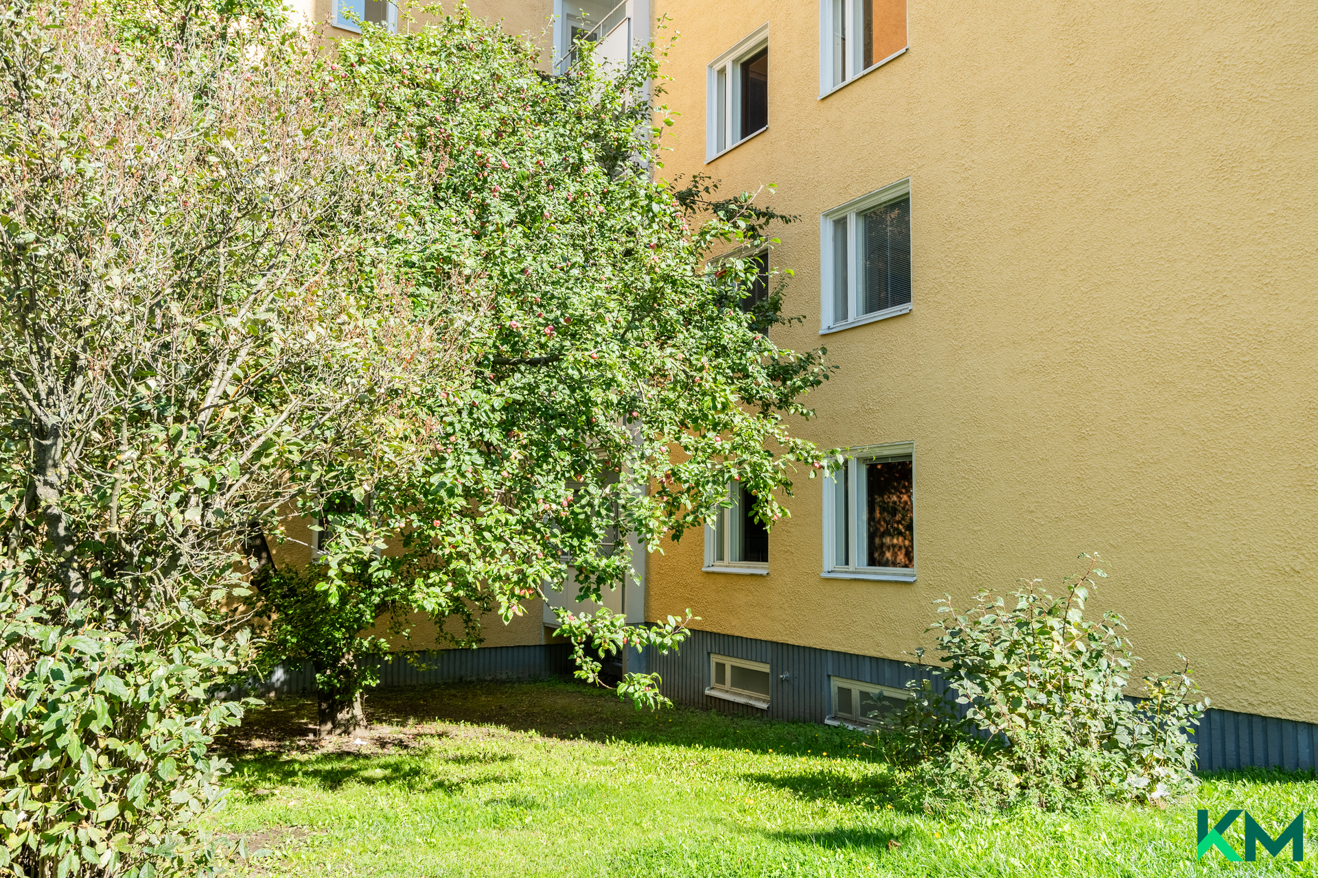 Olohuoneen ikkunat ensimmäisen kerroksen omenapuiden katveessa