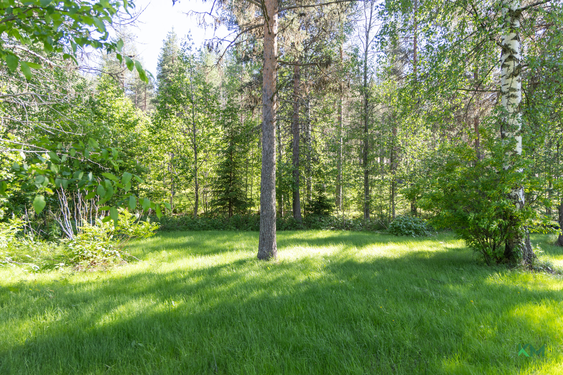 Pujottelijantie 17, Ounasvaara, Rovaniemi