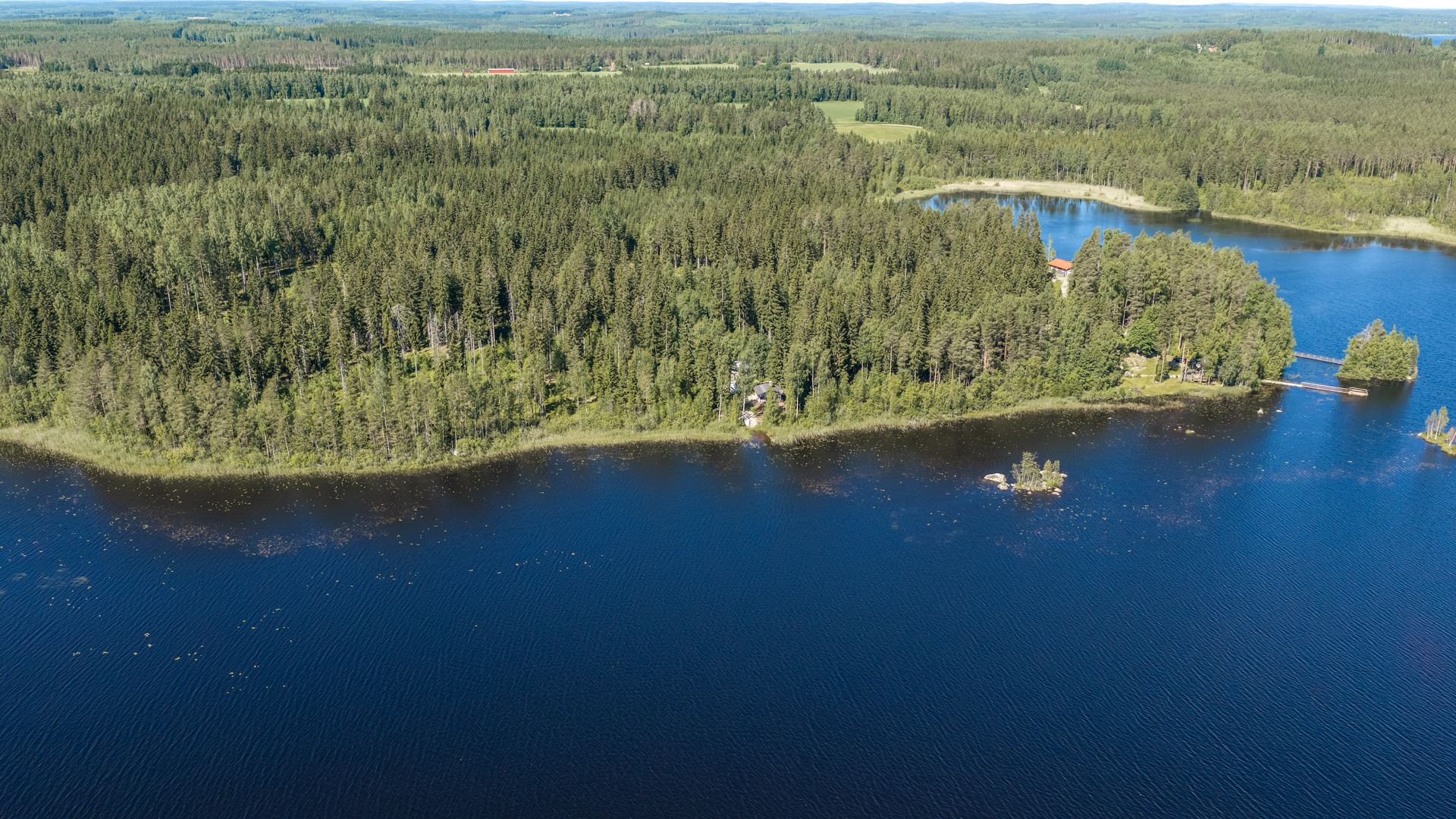 Pesukalliontie 113, Toivola, Mäntyharju