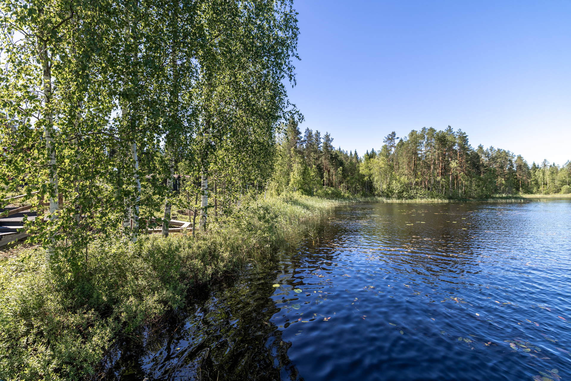 Pesukalliontie 113, Toivola, Mäntyharju