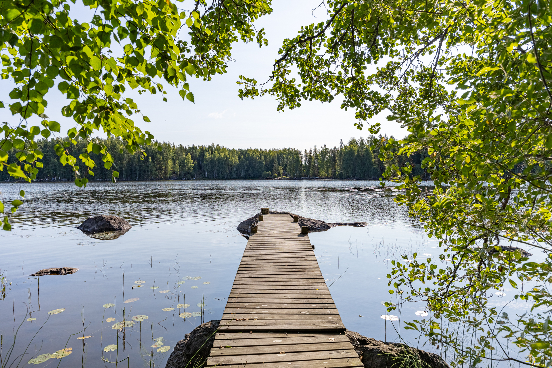 Järventaustantanhua 127, Puutikkala, Pälkäne